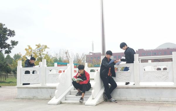 点击查看原图