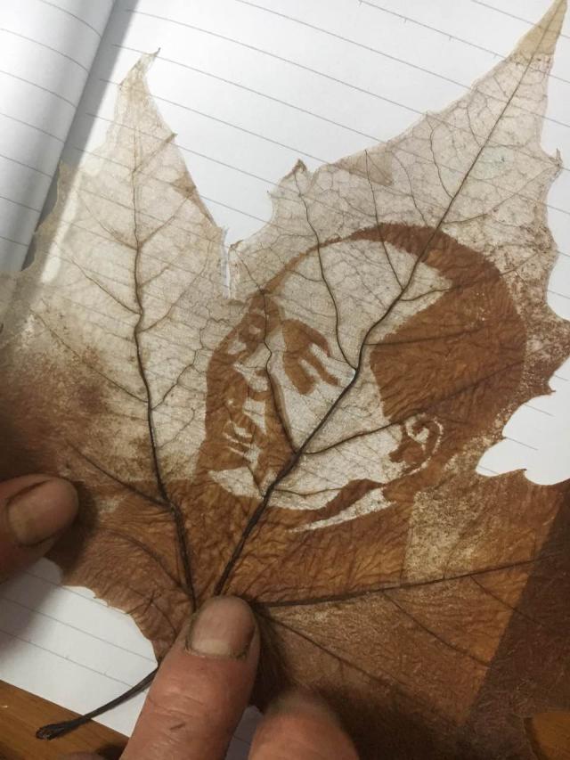点击查看原图