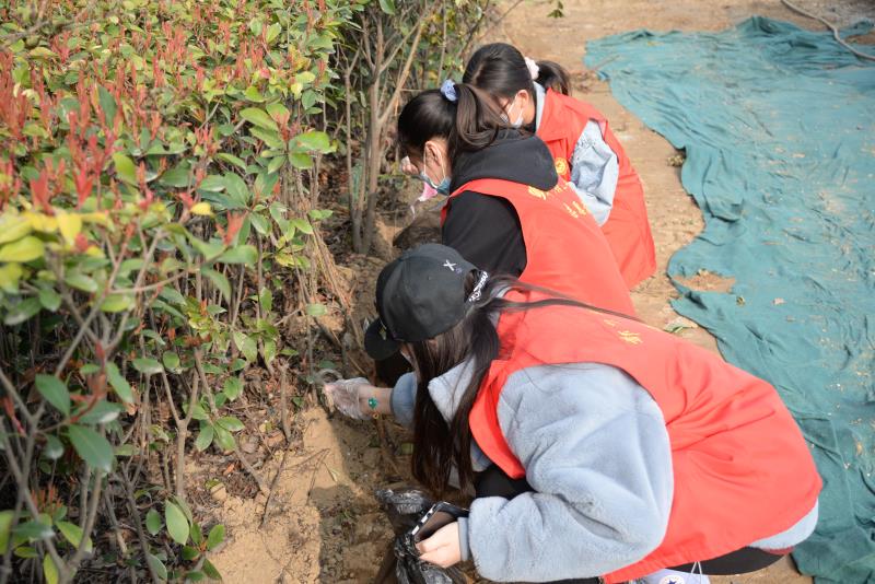 经济与管理学院组织开展爱绿护绿保护环境志愿实践活动